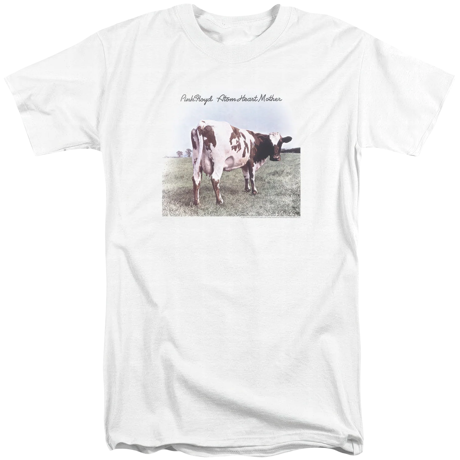 Atom Heart Mother Logo - Image 4