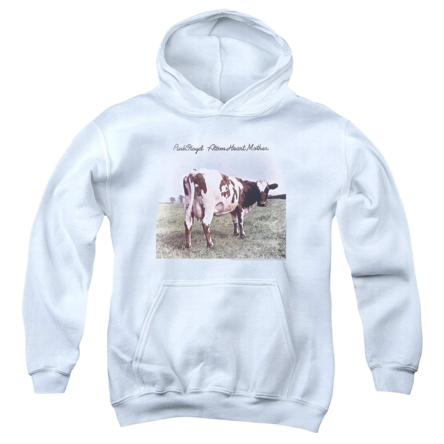 Atom Heart Mother Youth Logo