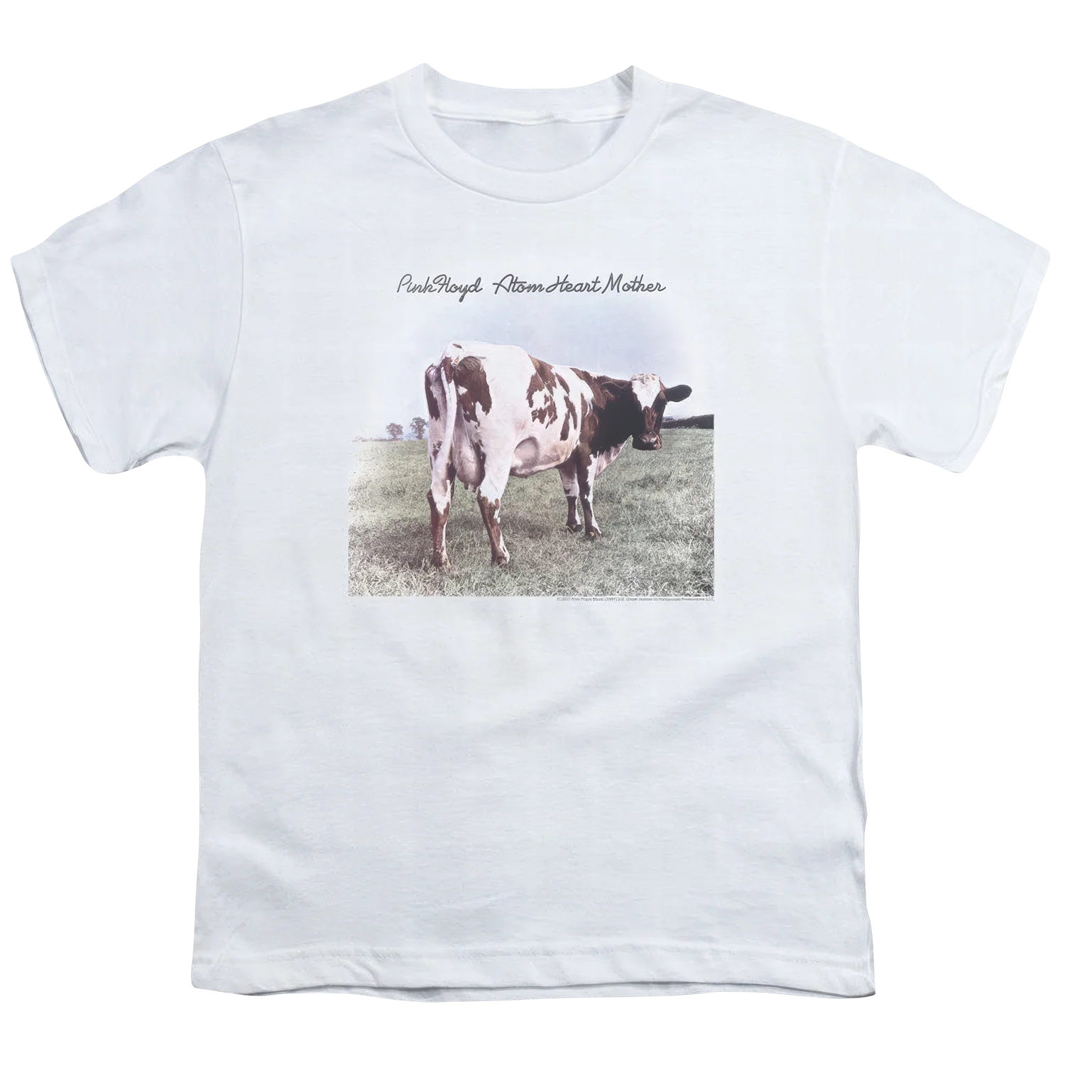 Atom Heart Mother Youth Logo - Image 2