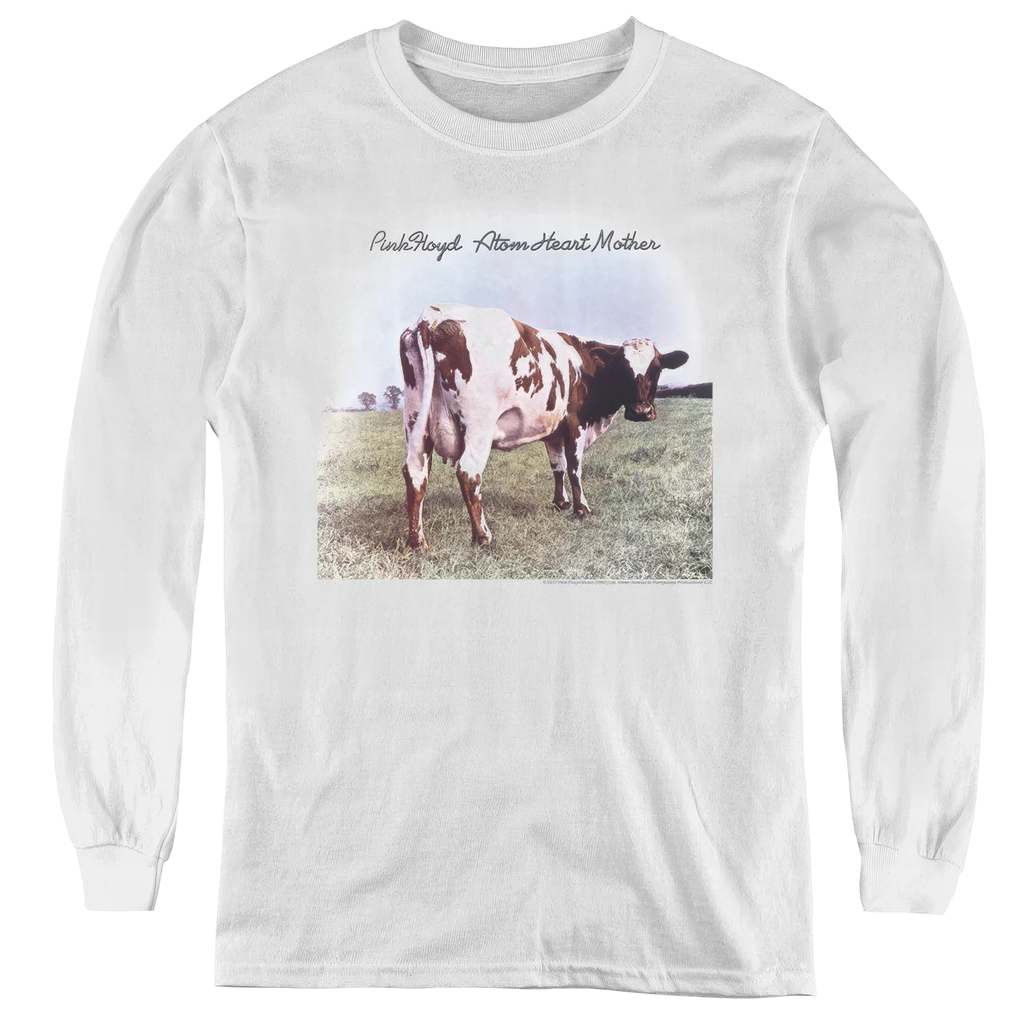 Atom Heart Mother Youth Logo - Image 3