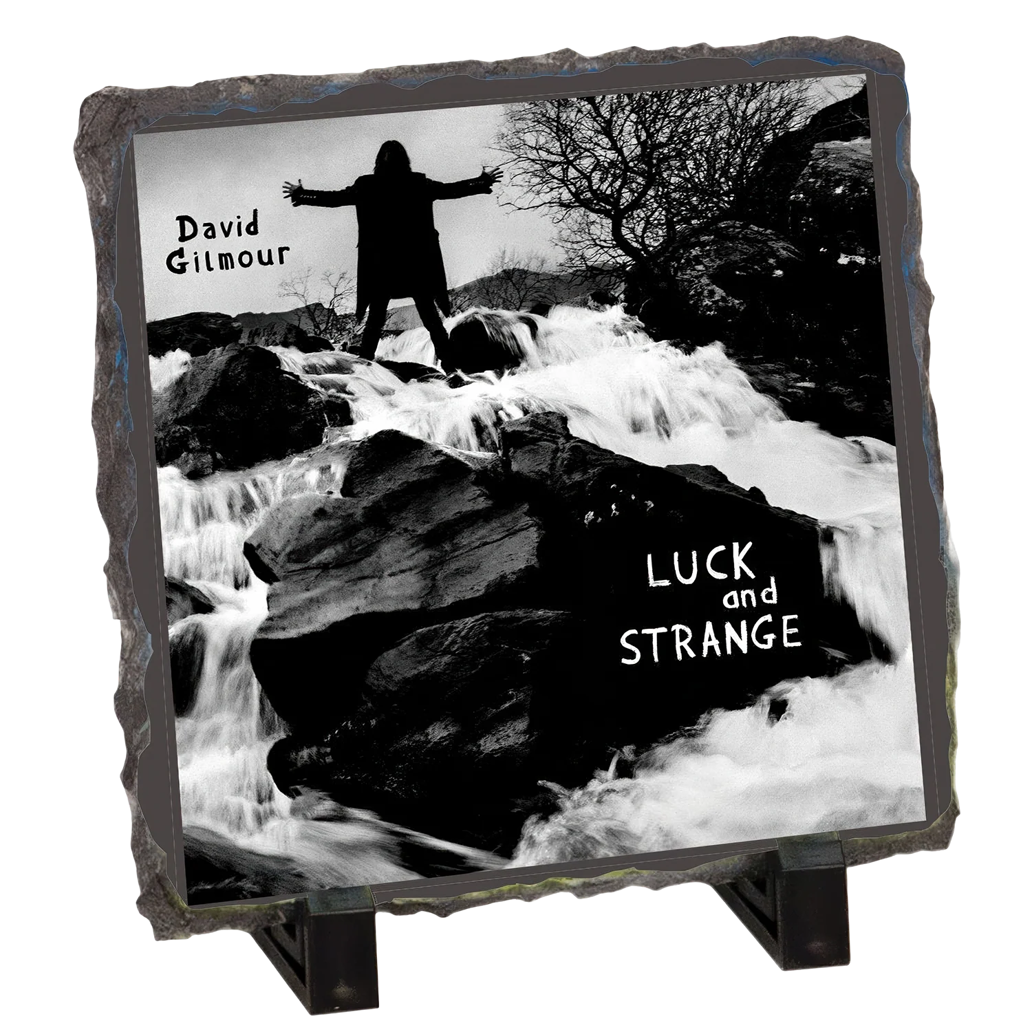 Luck and Strange Cover Photo Slate