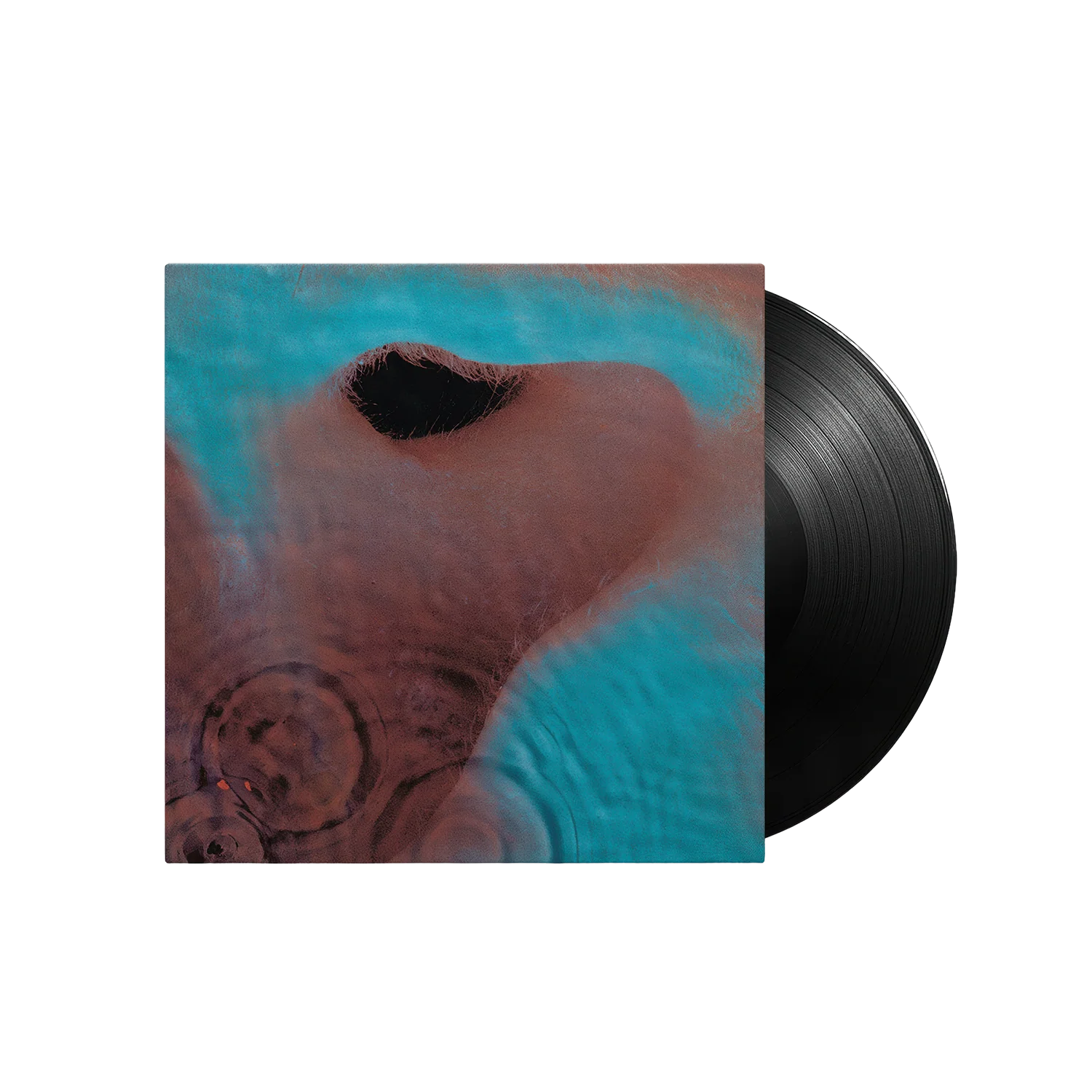 Meddle 180g Vinyl LP