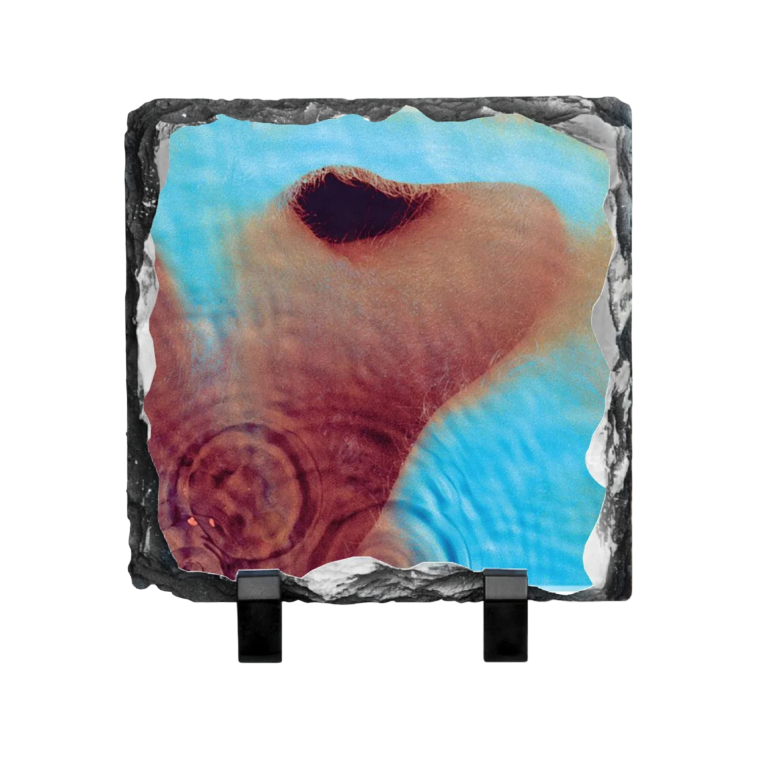 Meddle Photo Slate